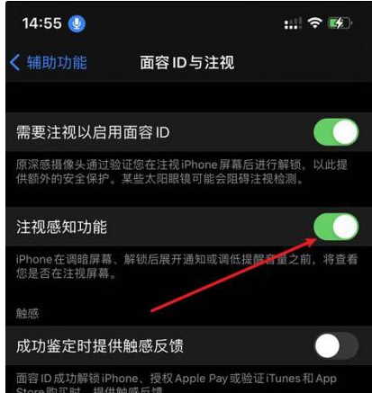 拉萨苹果14维修网点分享iPhone14注视感知功能有什么用 